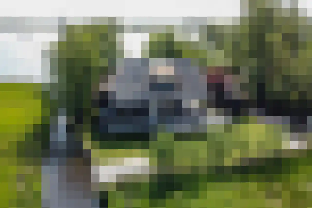 Bovenwijde 14 R Giethoorn thumbnail 17