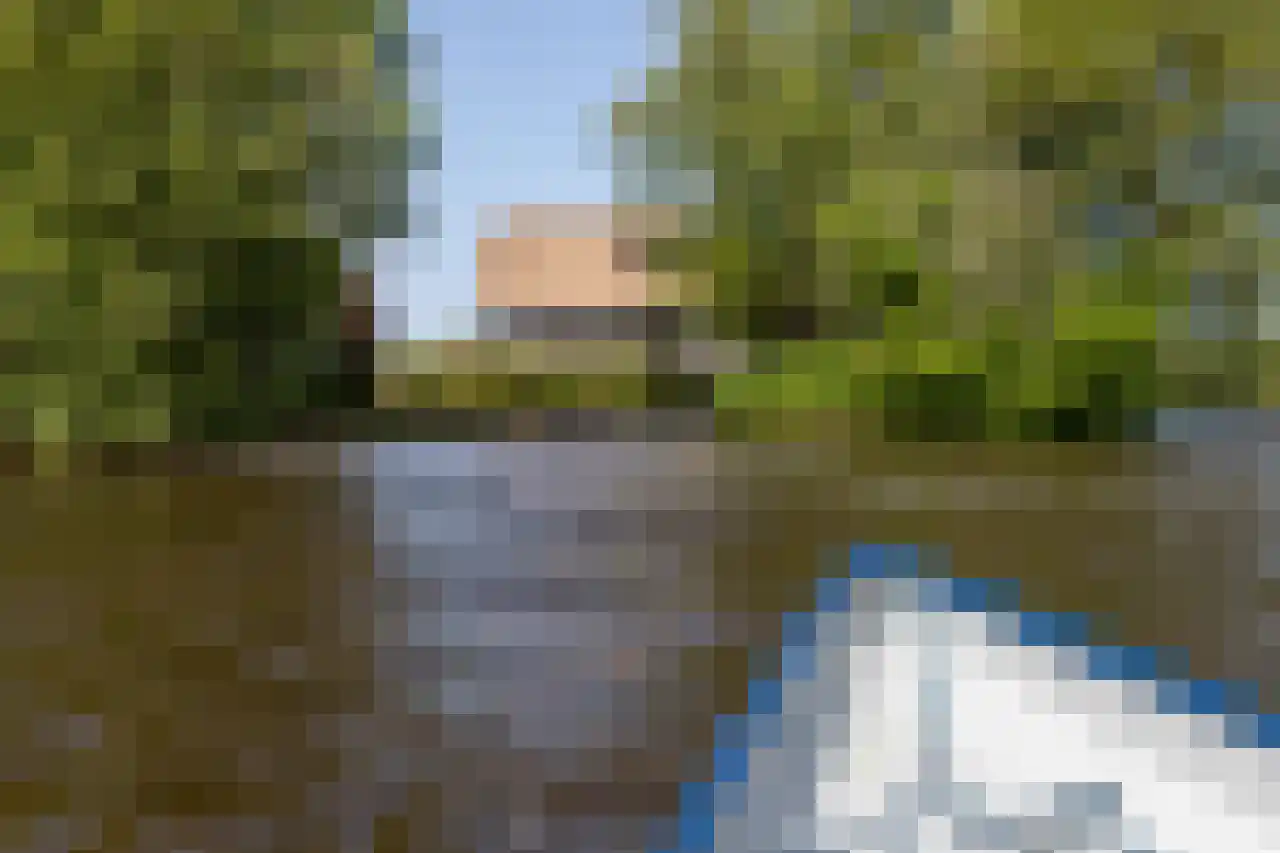 Bovenwijde 14 R Giethoorn thumbnail 4