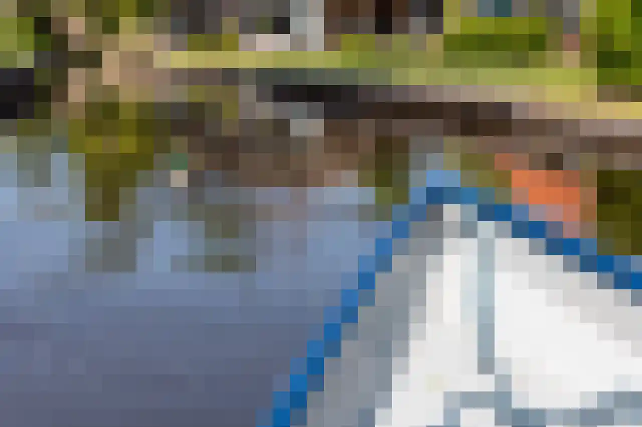 Bovenwijde 14 R Giethoorn thumbnail 45