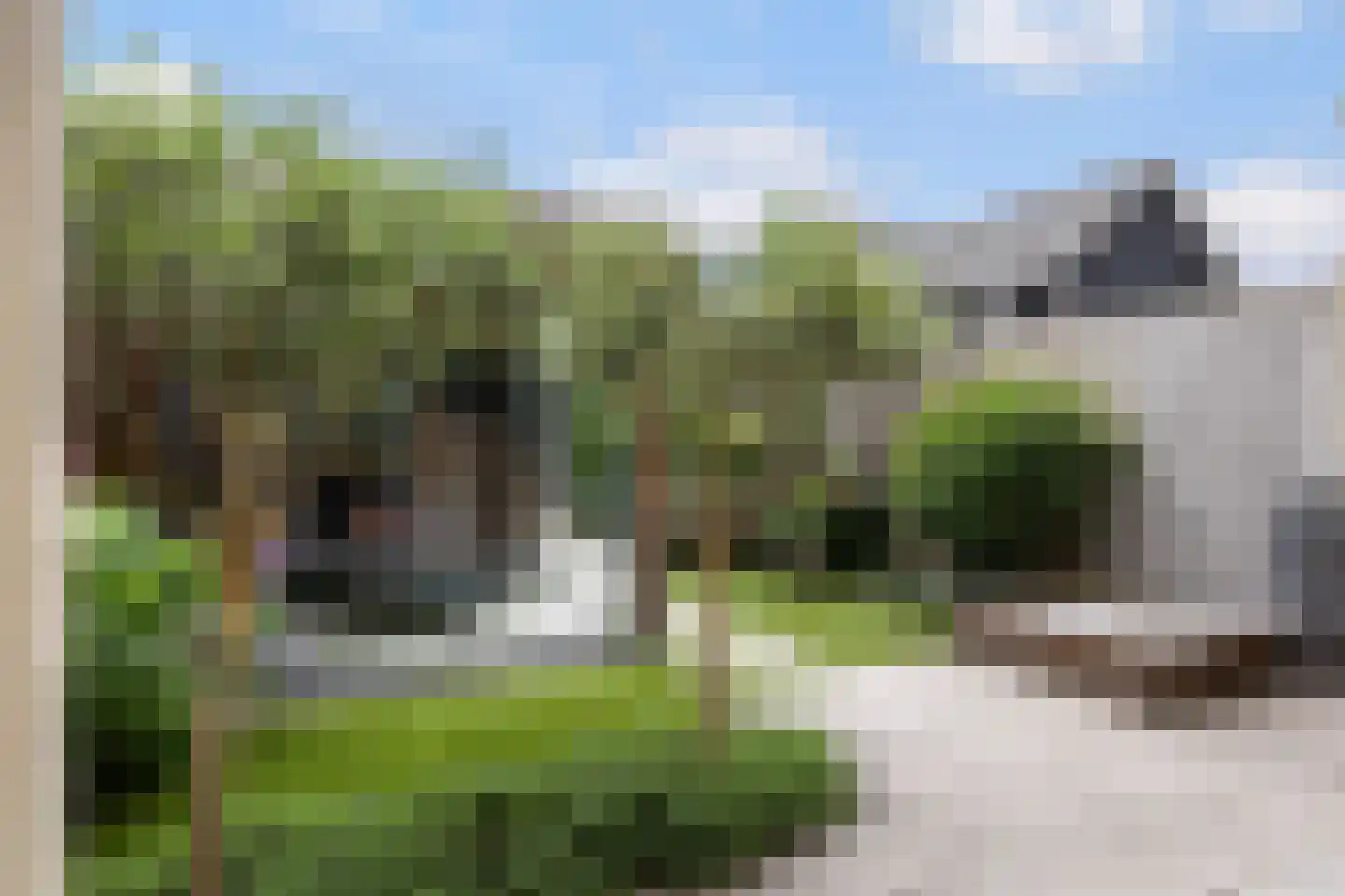 Bovist 10 Apeldoorn thumbnail 12