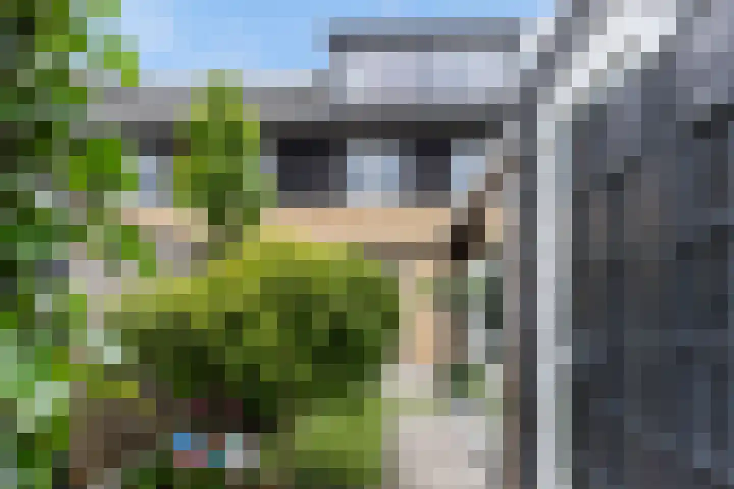 Bovist 10 Apeldoorn thumbnail 16