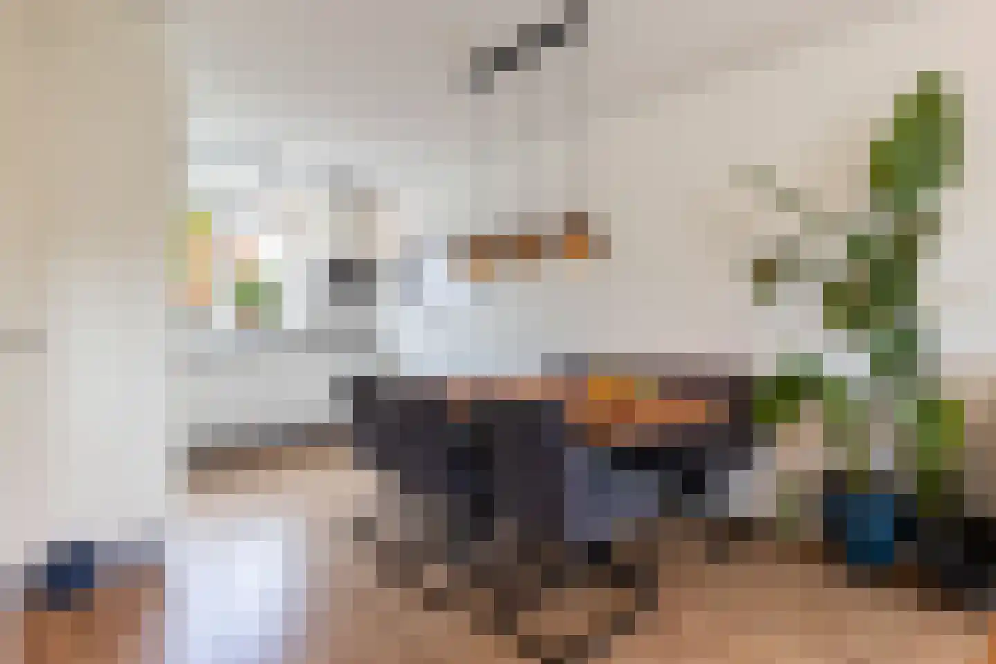 Bovist 10 Apeldoorn thumbnail 8