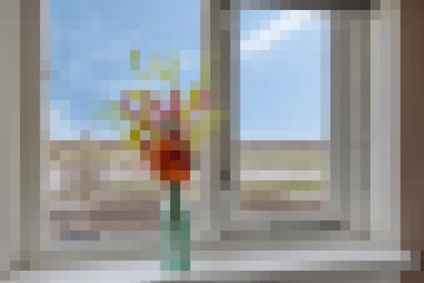 Bovist 20 Apeldoorn thumbnail 10