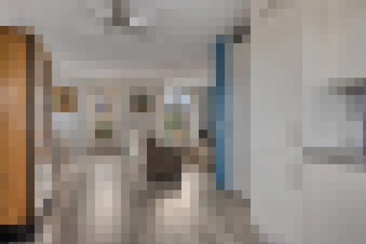 Bovist 20 Apeldoorn thumbnail 11