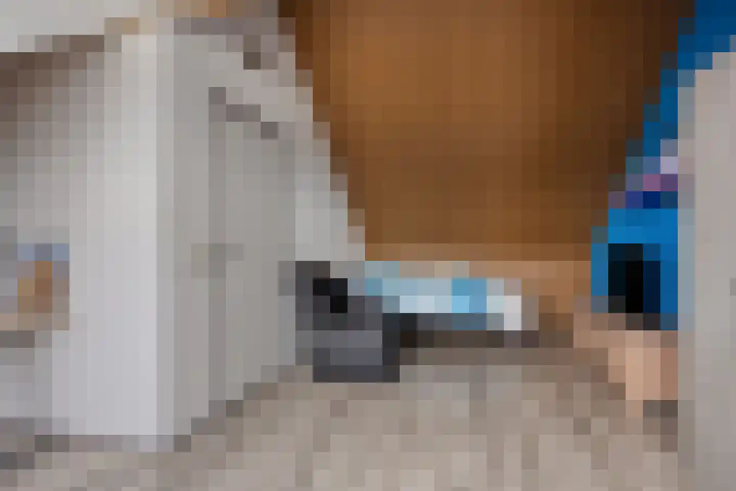 Bovist 20 Apeldoorn thumbnail 21