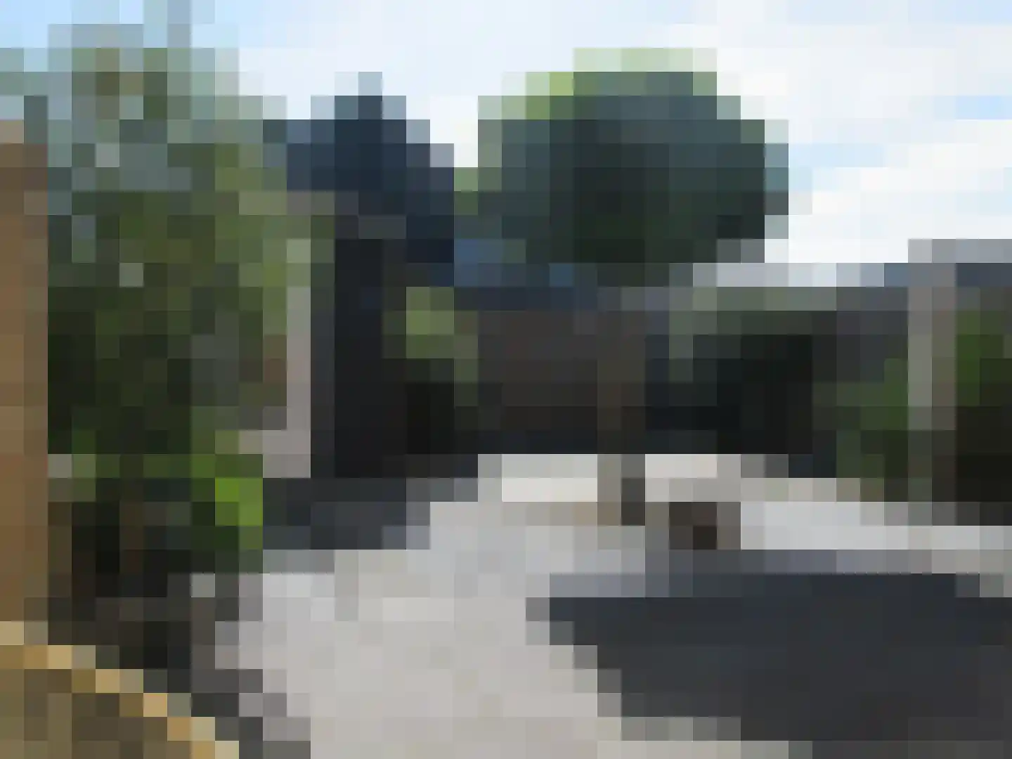 Bovist 20 Apeldoorn thumbnail 23