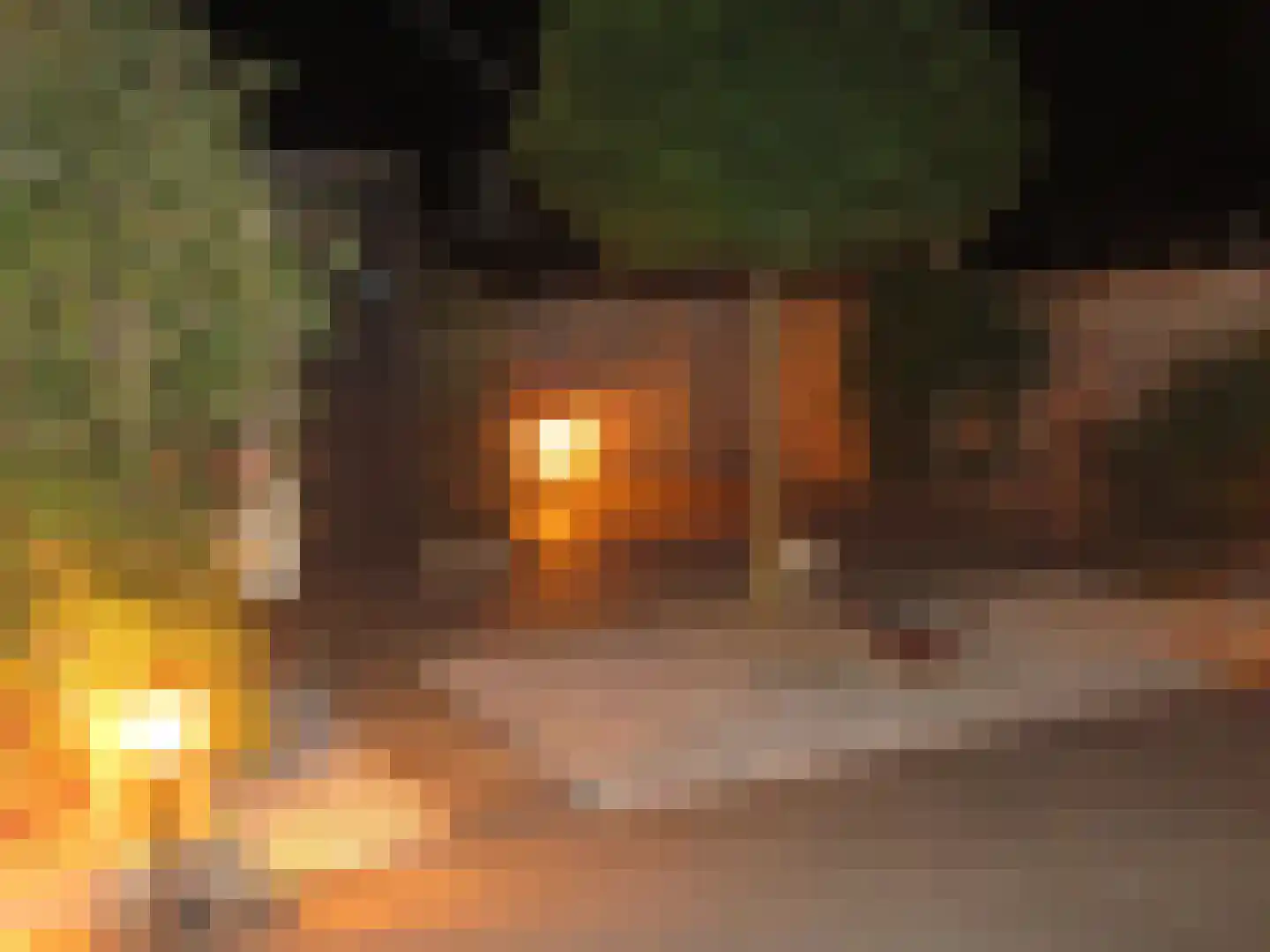 Bovist 20 Apeldoorn thumbnail 24