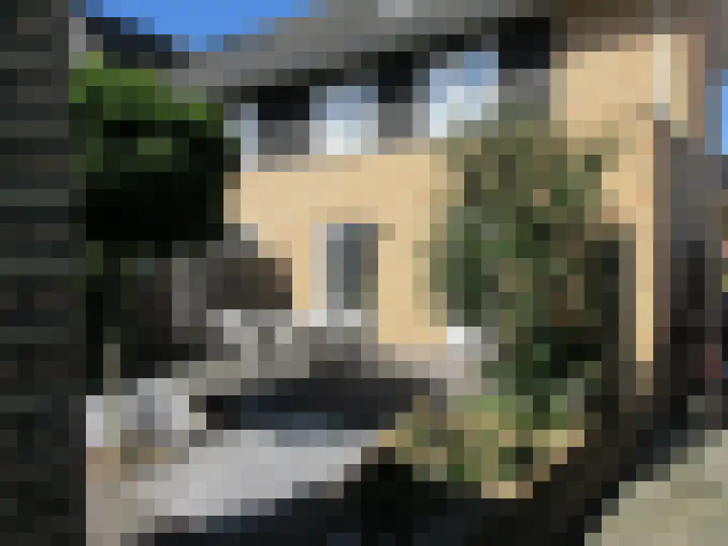Bovist 20 Apeldoorn thumbnail 25