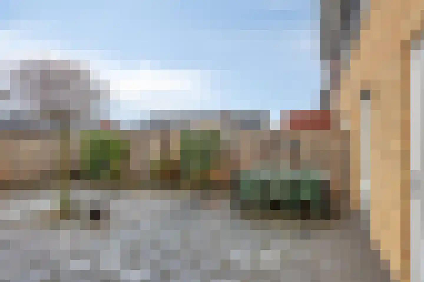 Bovist 20 Apeldoorn thumbnail 27