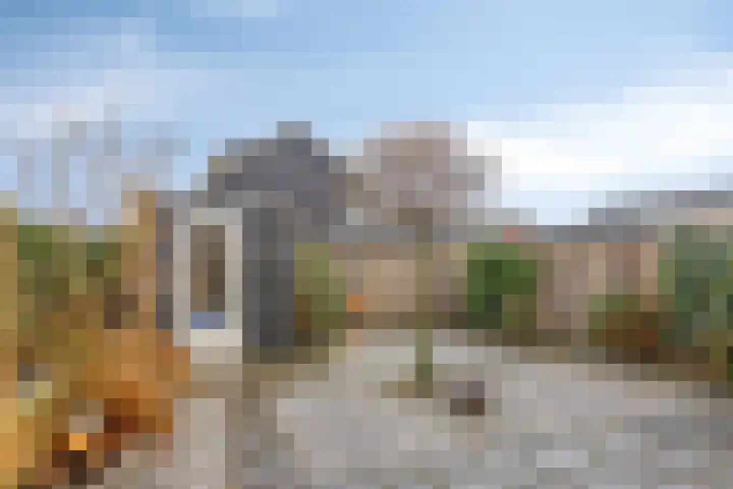 Bovist 20 Apeldoorn thumbnail 28