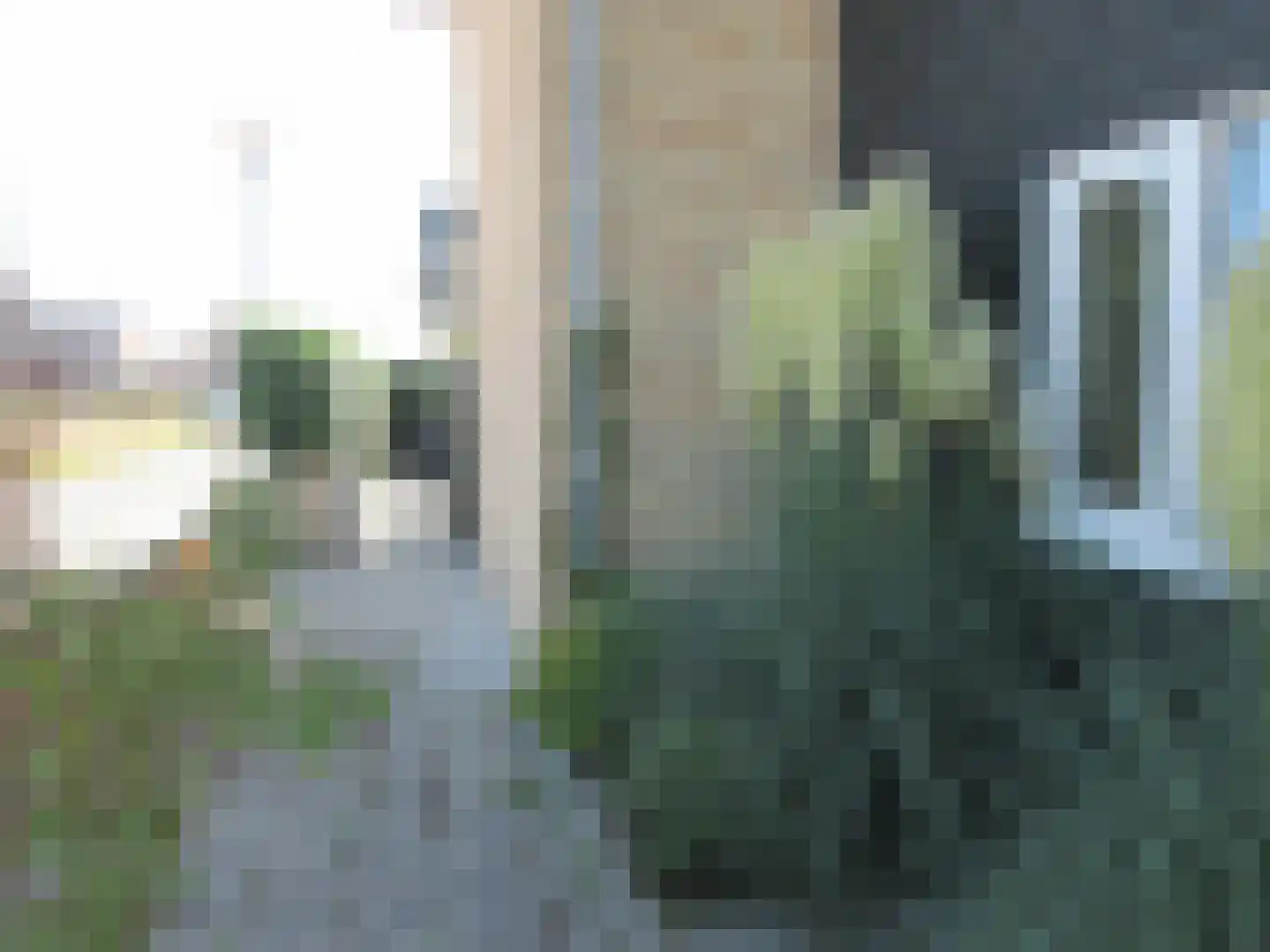 Bovist 20 Apeldoorn thumbnail 30