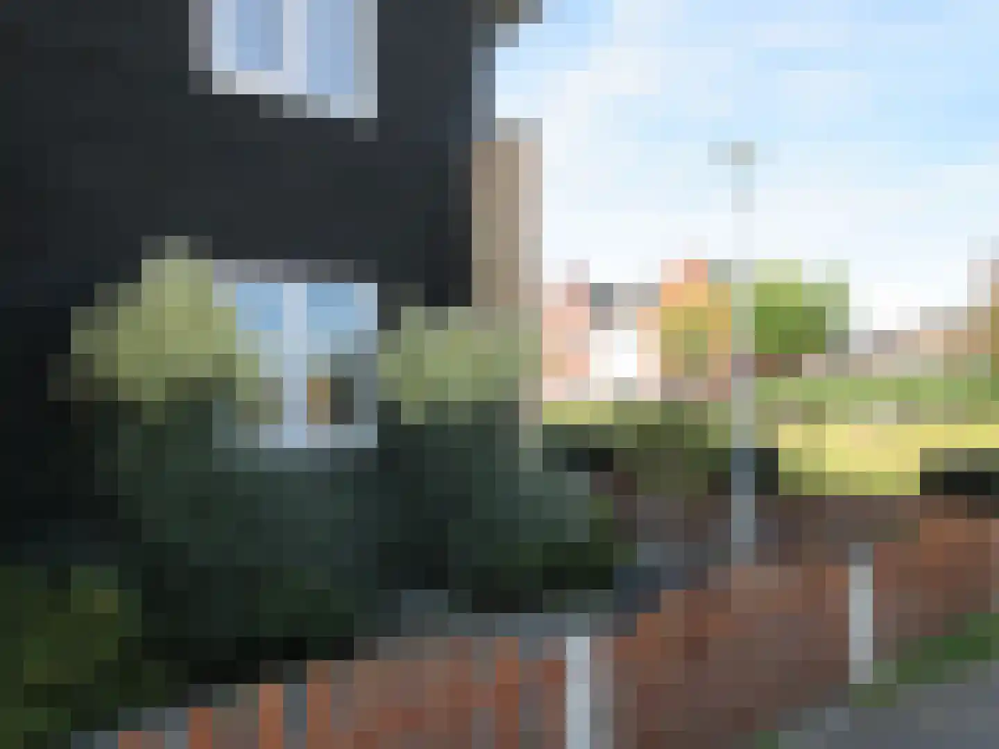 Bovist 20 Apeldoorn thumbnail 31