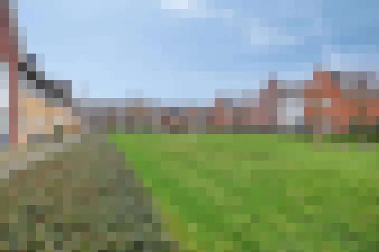 Bovist 20 Apeldoorn thumbnail 34