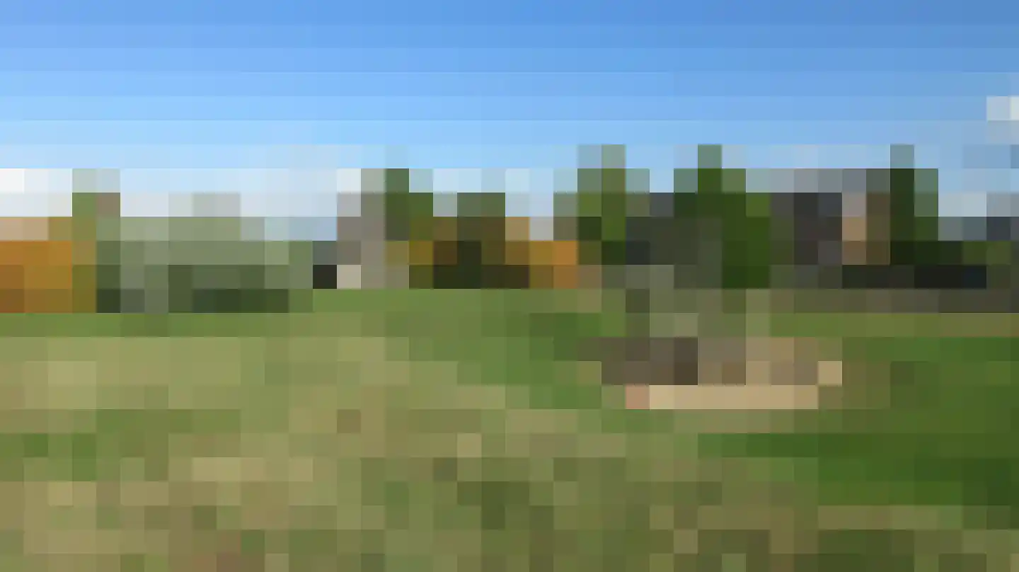 Bovist 20 Apeldoorn thumbnail 35