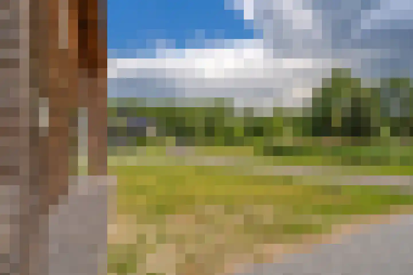 Bovist 31 Assen thumbnail 10