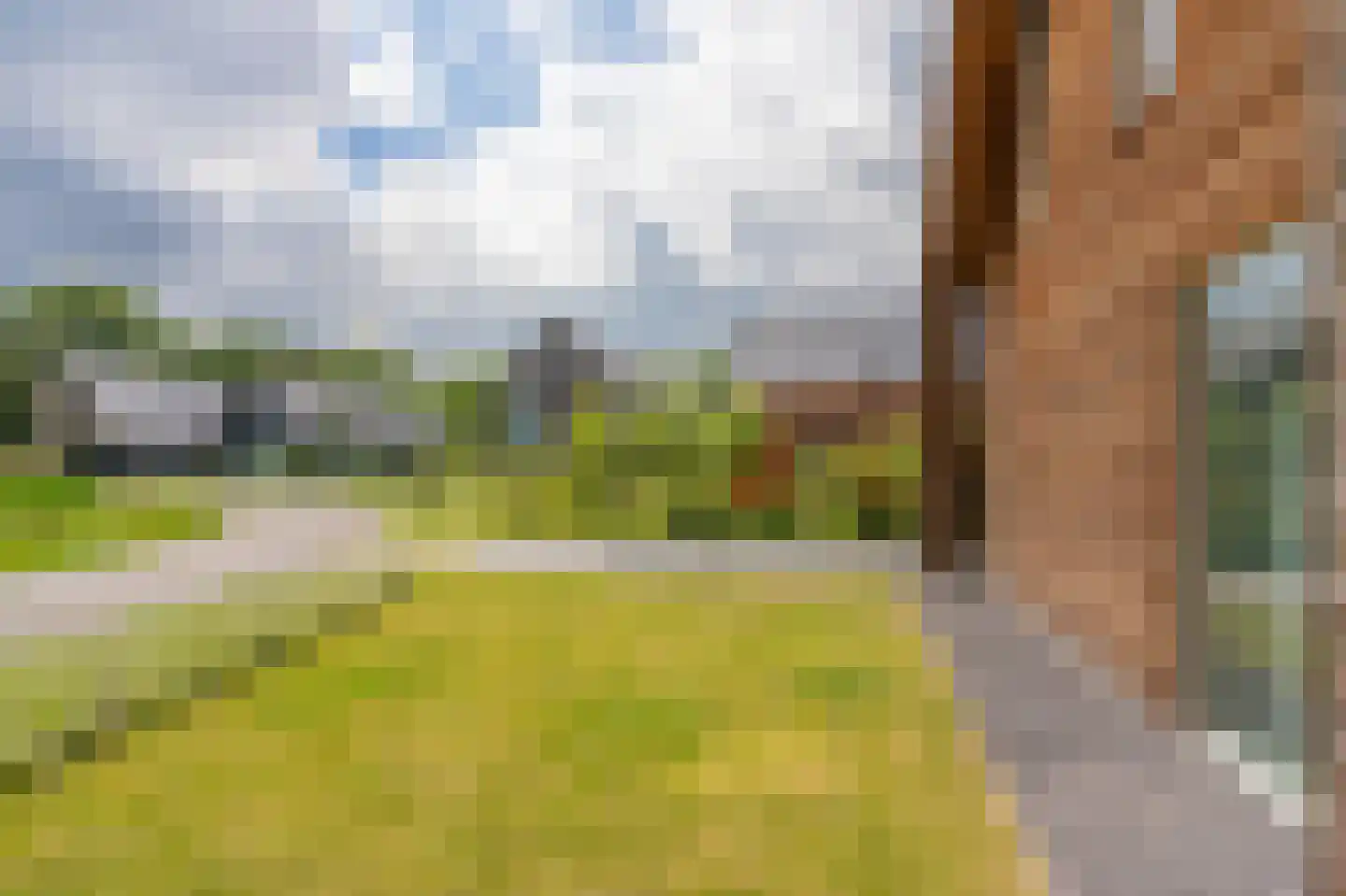 Bovist 31 Assen thumbnail 11