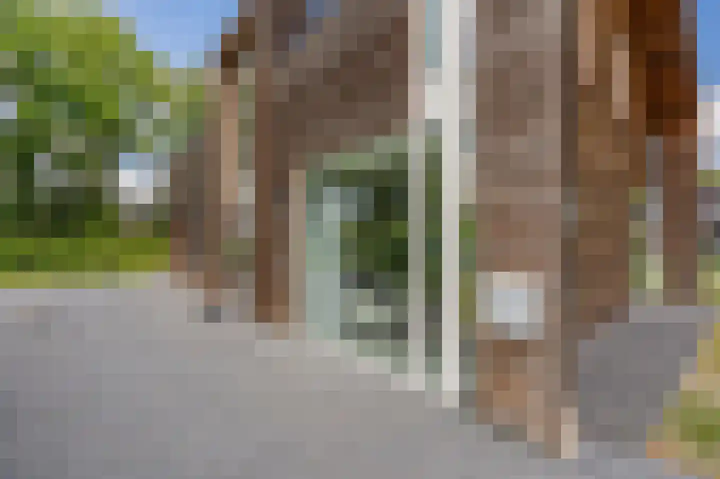Bovist 31 Assen thumbnail 12