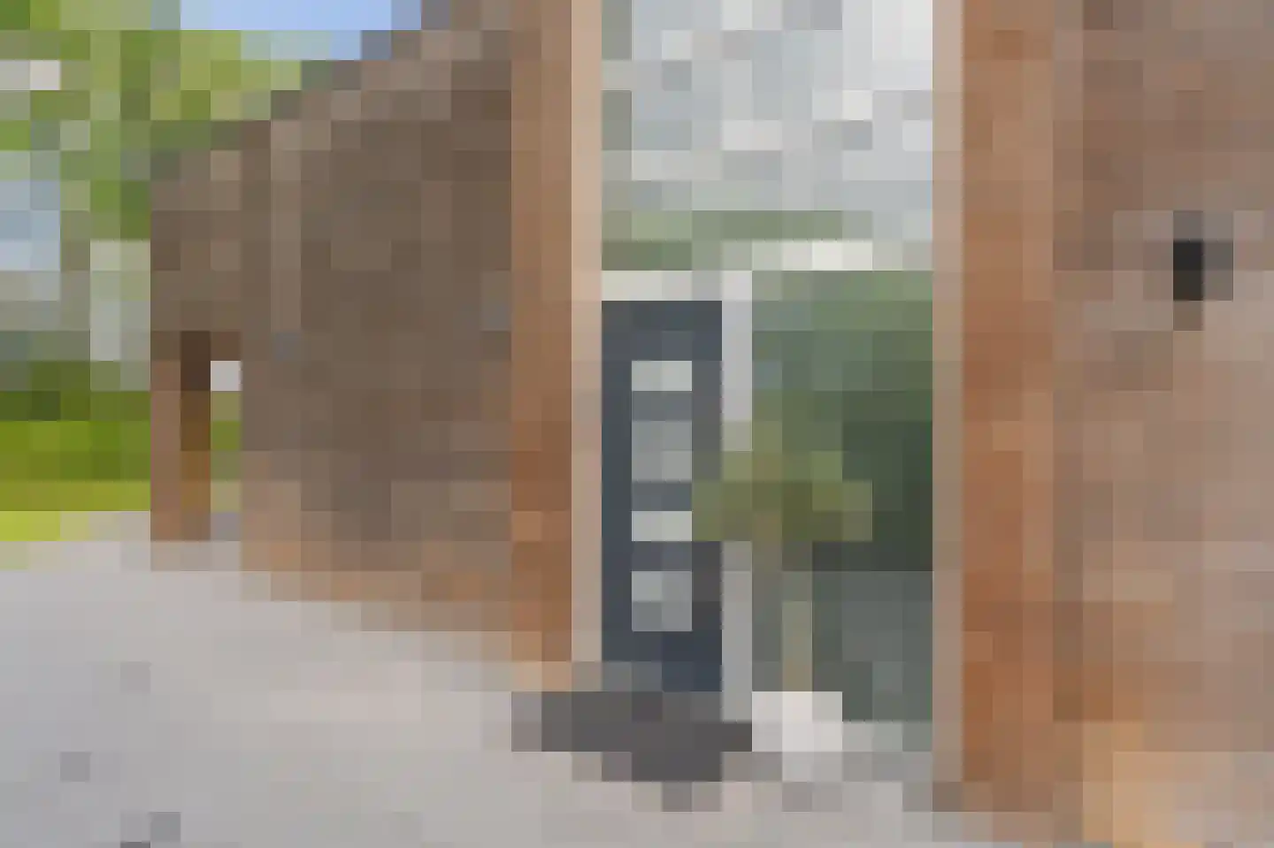 Bovist 31 Assen thumbnail 14