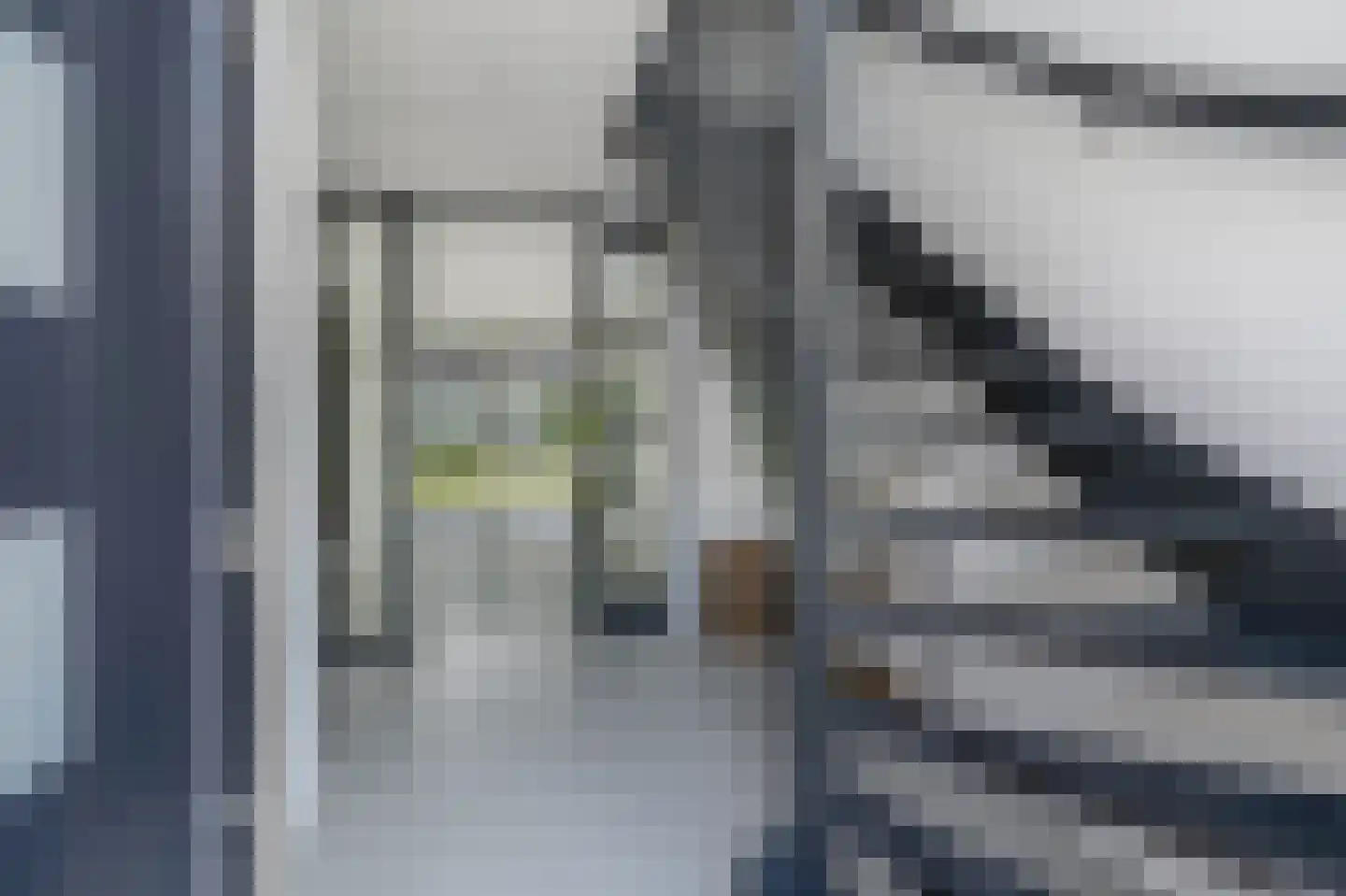 Bovist 31 Assen thumbnail 15