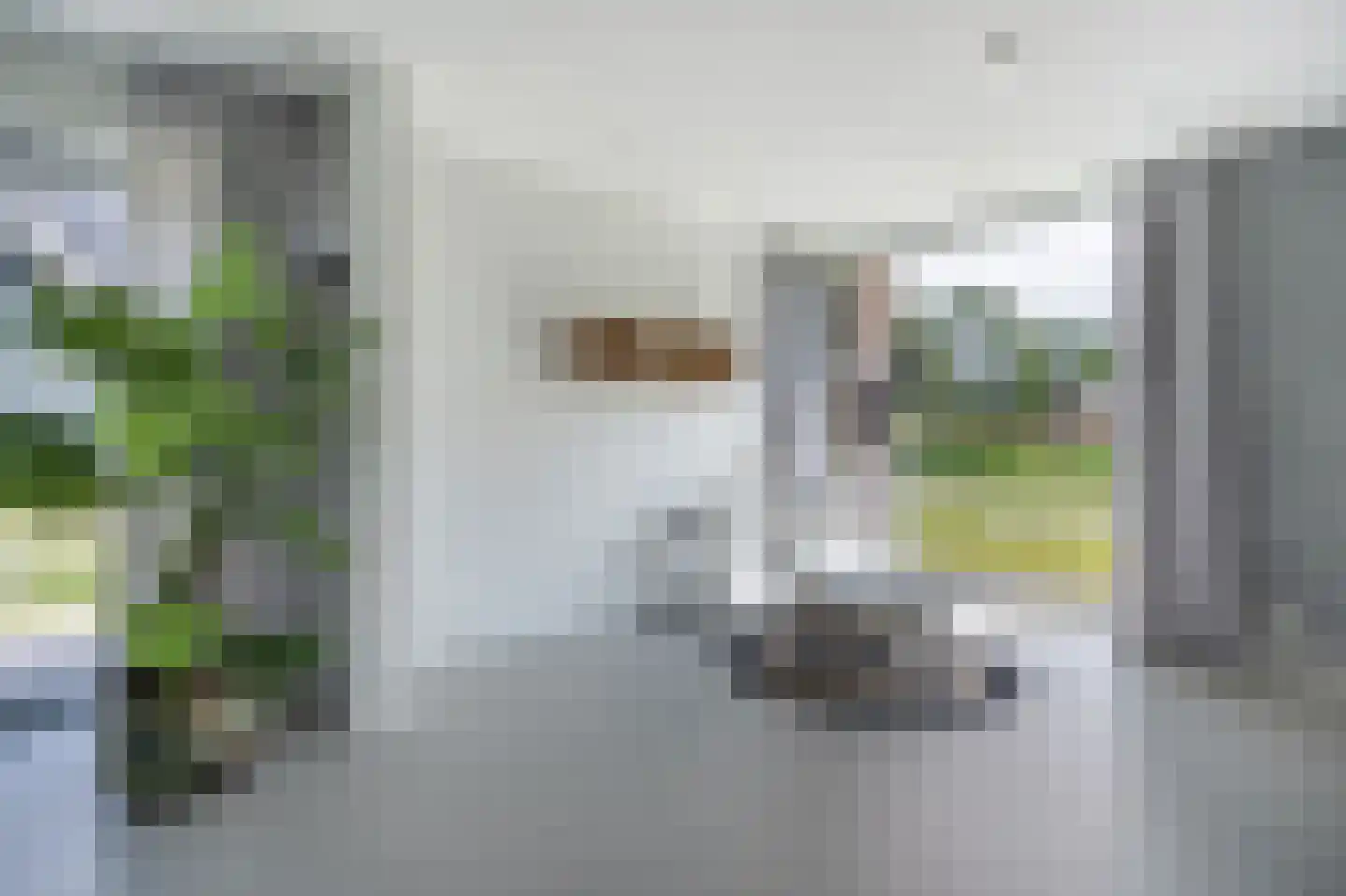Bovist 31 Assen thumbnail 17