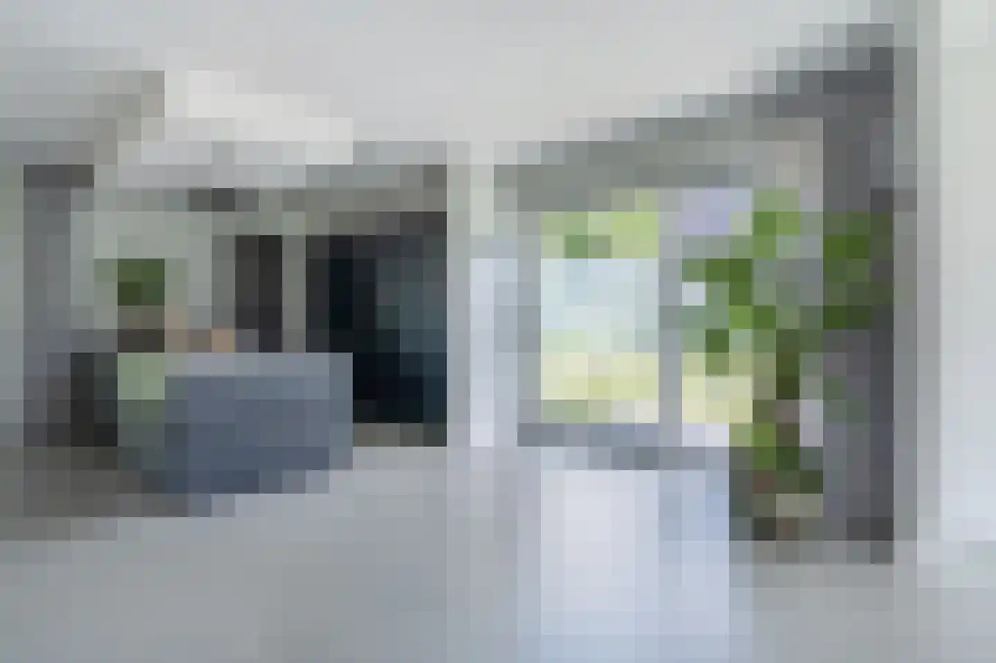 Bovist 31 Assen thumbnail 20