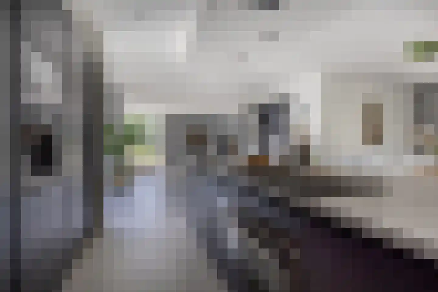 Bovist 31 Assen thumbnail 23