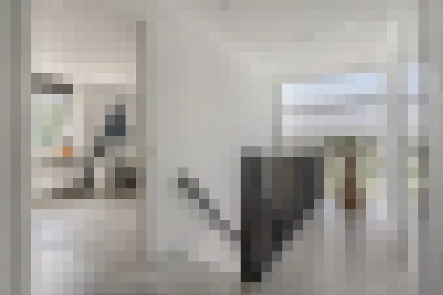 Bovist 31 Assen thumbnail 27