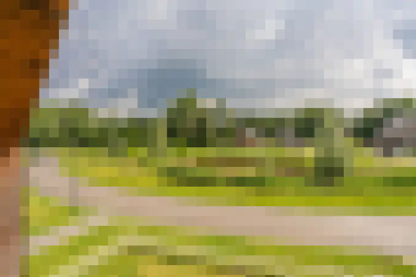 Bovist 31 Assen thumbnail 31