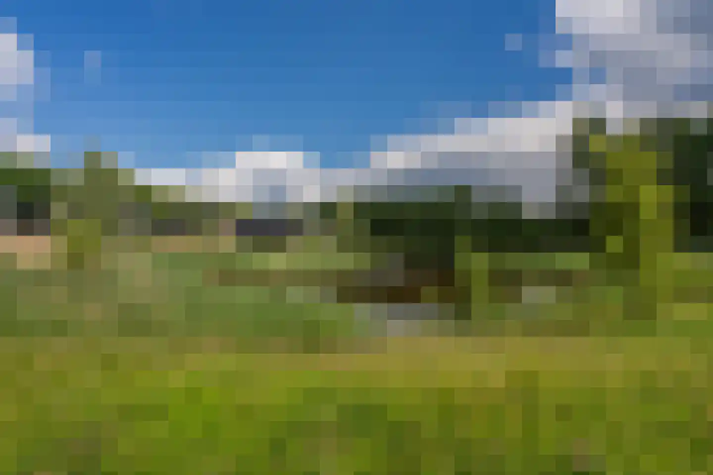 Bovist 31 Assen thumbnail 4