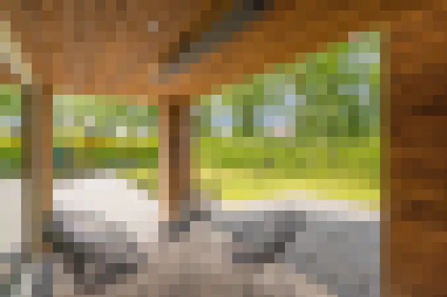 Bovist 31 Assen thumbnail 40