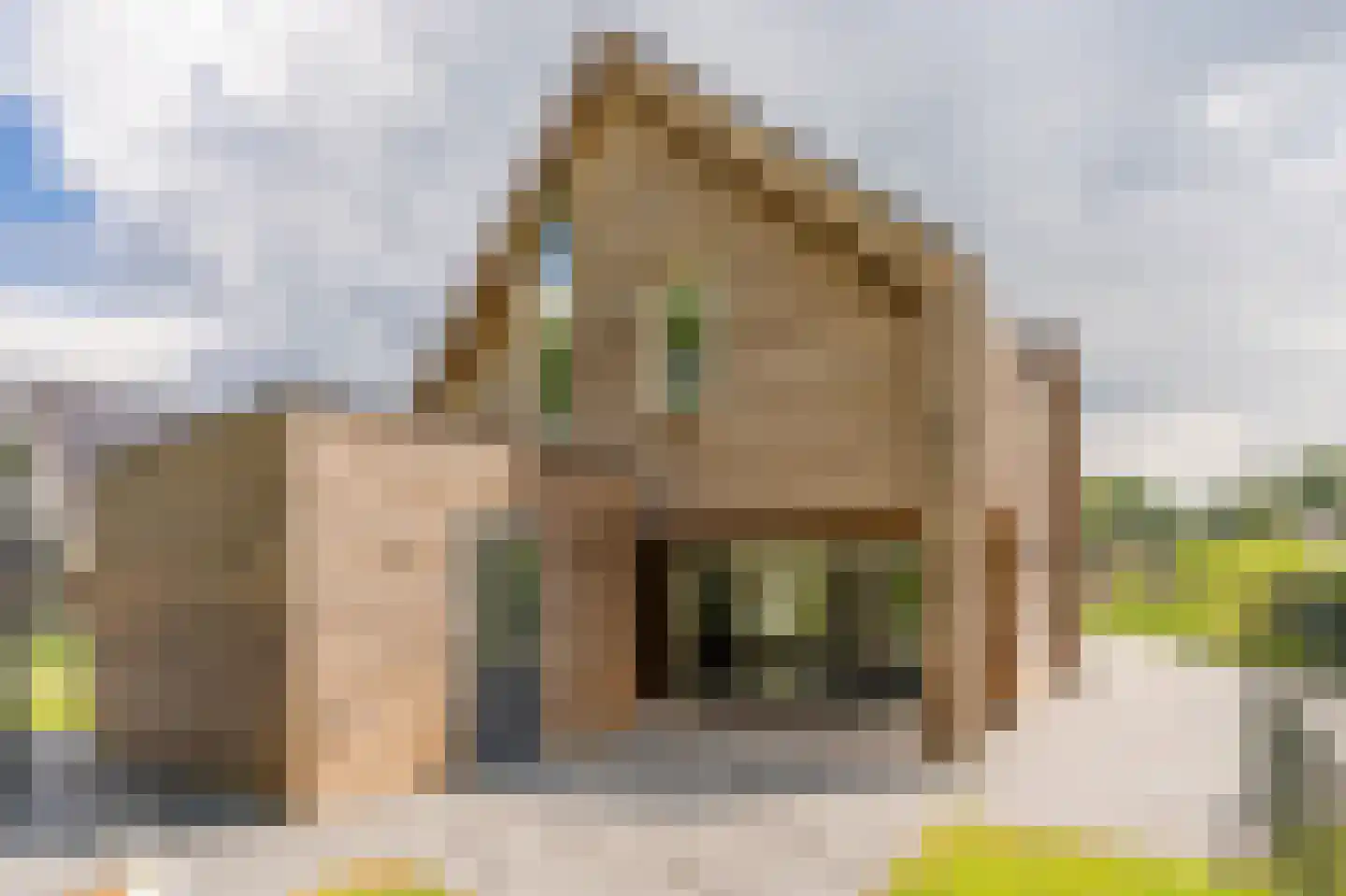 Bovist 31 Assen thumbnail 41