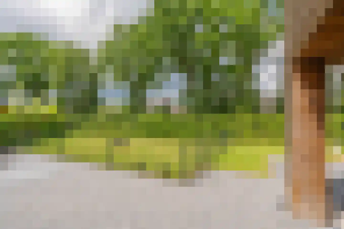 Bovist 31 Assen thumbnail 42