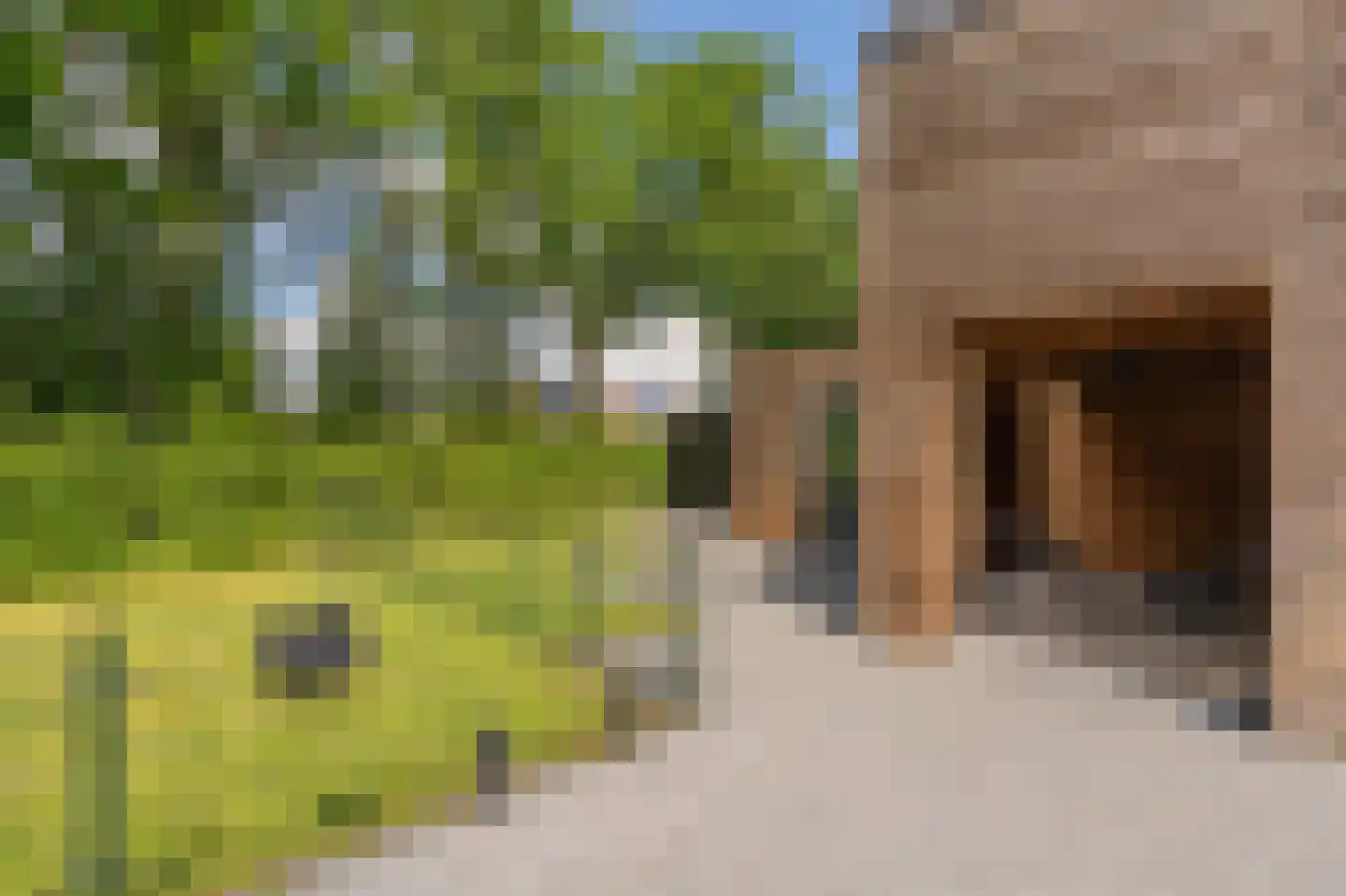 Bovist 31 Assen thumbnail 43