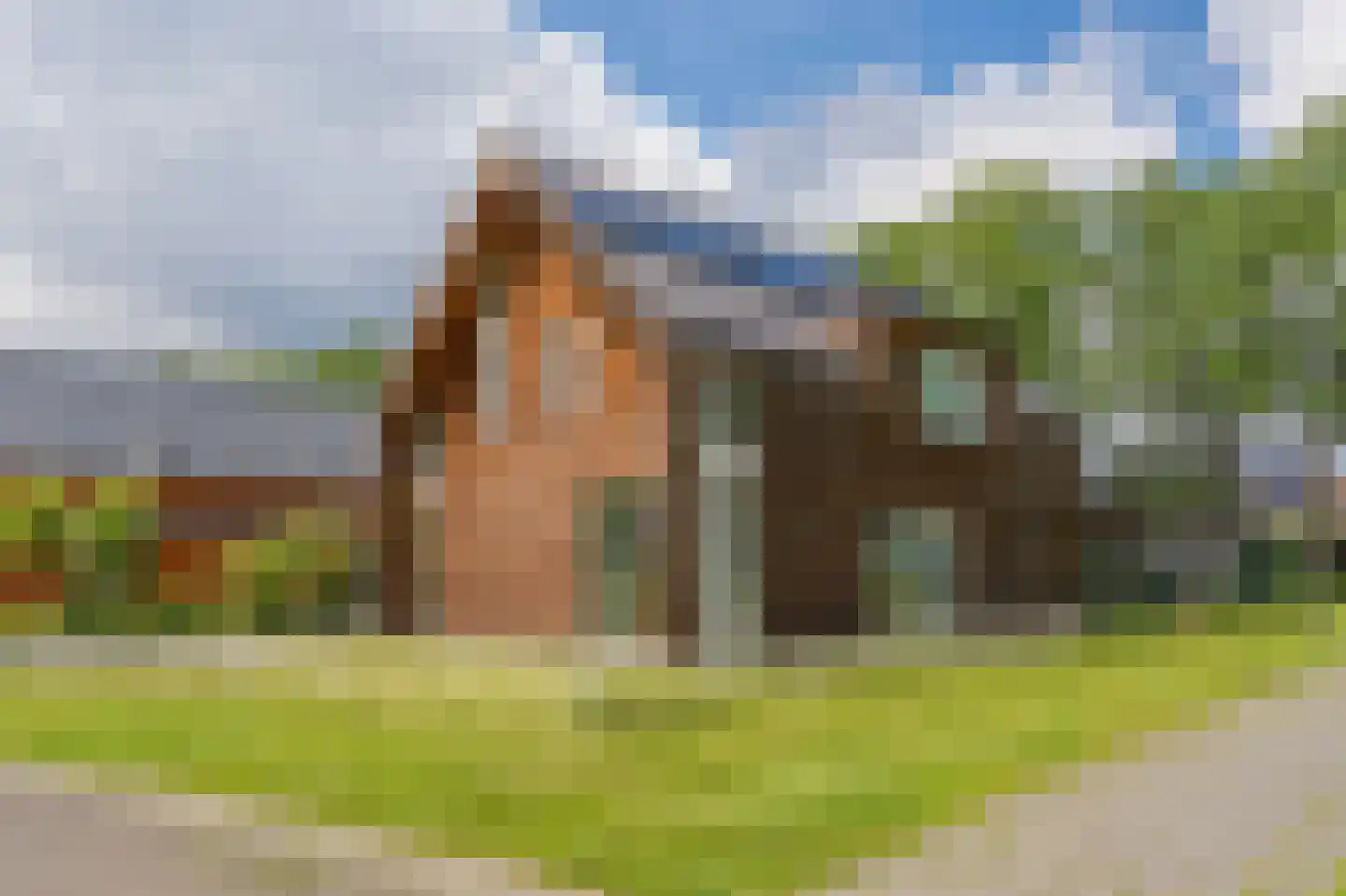 Bovist 31 Assen thumbnail 47