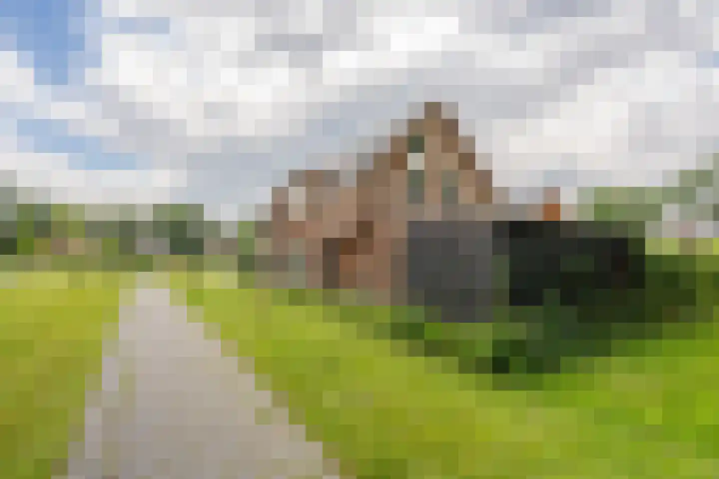 Bovist 31 Assen thumbnail 48