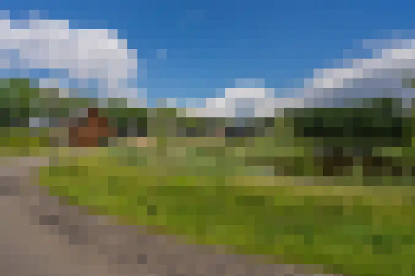 Bovist 31 Assen thumbnail 49