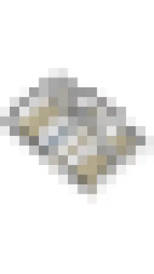 Bovist 31 Assen thumbnail 53