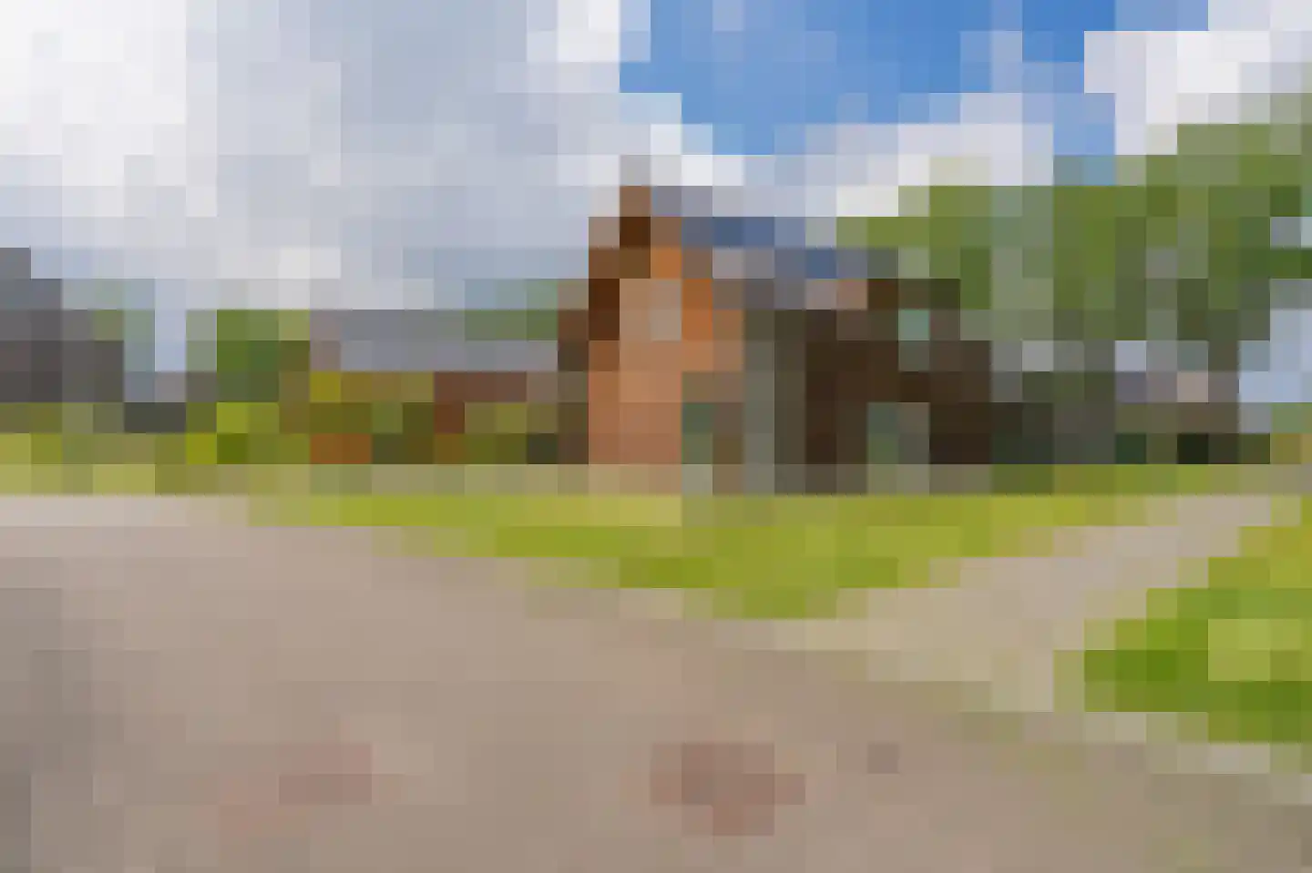 Bovist 31 Assen thumbnail 8