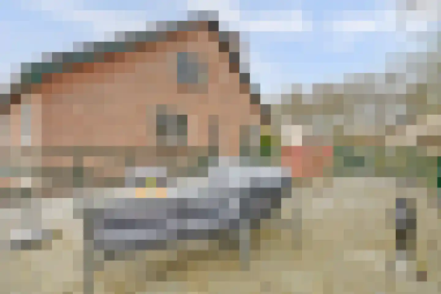 Bovistlaan 8 Ermelo thumbnail 33