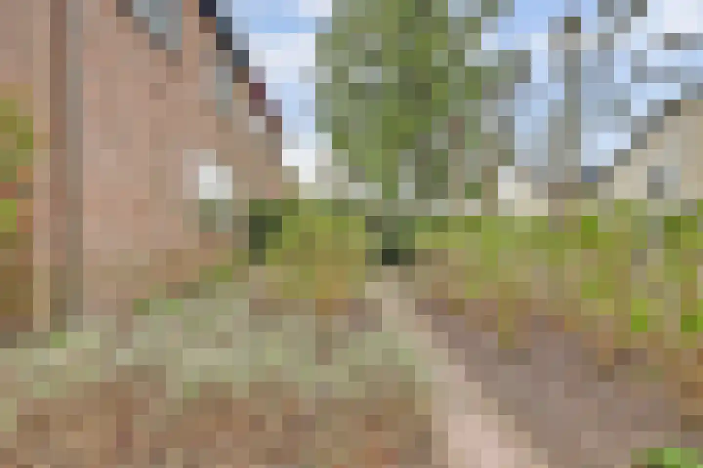 Bovistlaan 8 Ermelo thumbnail 68