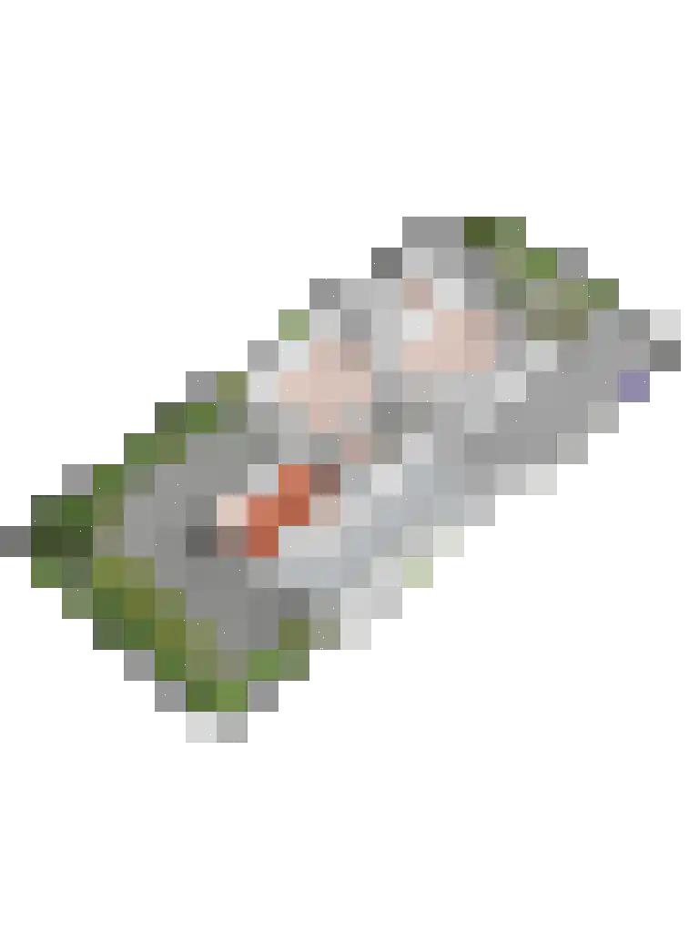 Boweshof 13 Dronten thumbnail 33