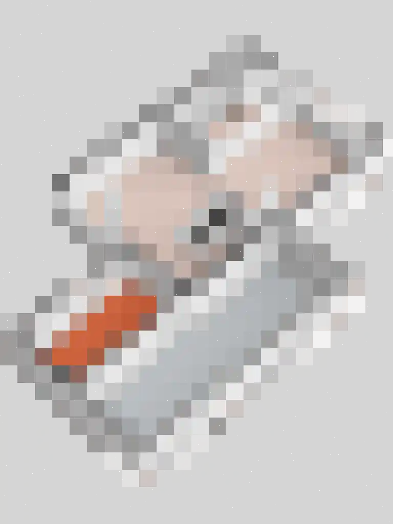 Boweshof 13 Dronten thumbnail 34