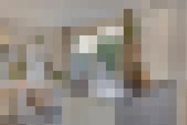 Bowierstraat 14 's-Hertogenbosch thumbnail 13