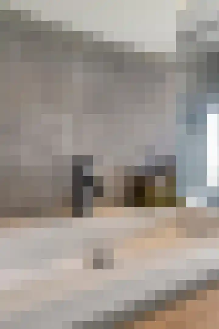 Bowierstraat 14 's-Hertogenbosch thumbnail 24