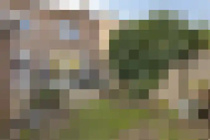 Bowierstraat 14 's-Hertogenbosch thumbnail 26