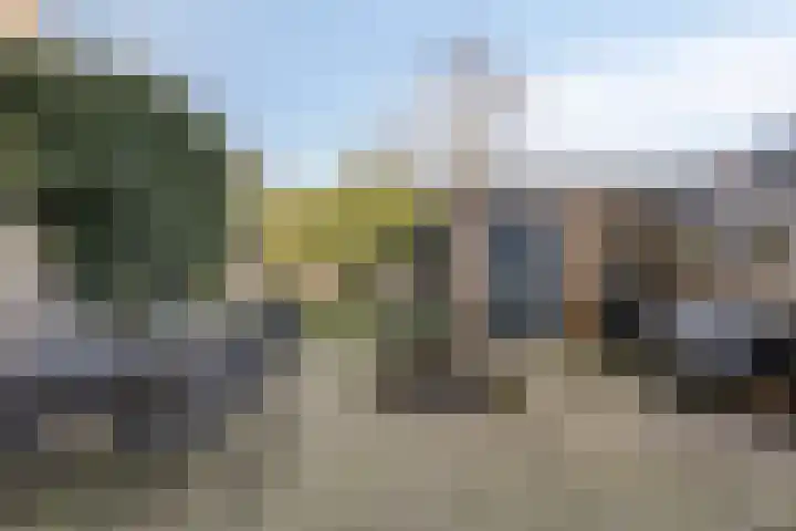 Bowierstraat 14 's-Hertogenbosch thumbnail 28