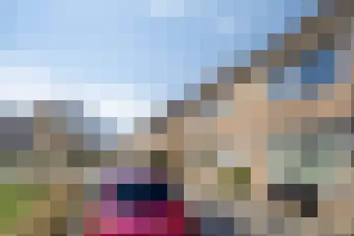 Bowierstraat 14 's-Hertogenbosch thumbnail 32