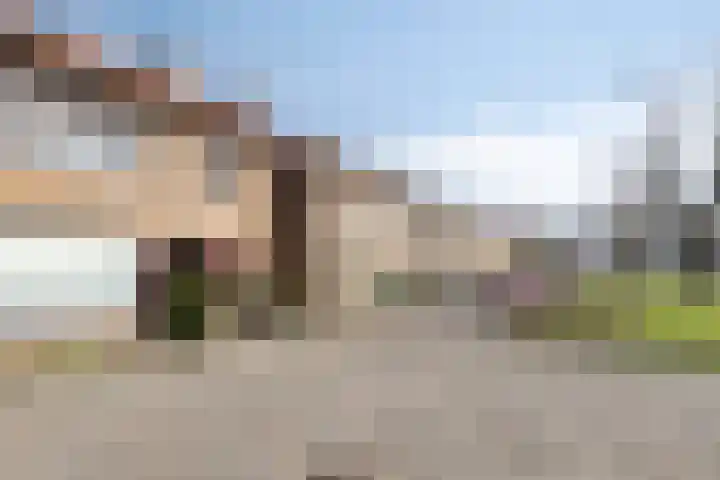 Bowierstraat 14 's-Hertogenbosch thumbnail 34