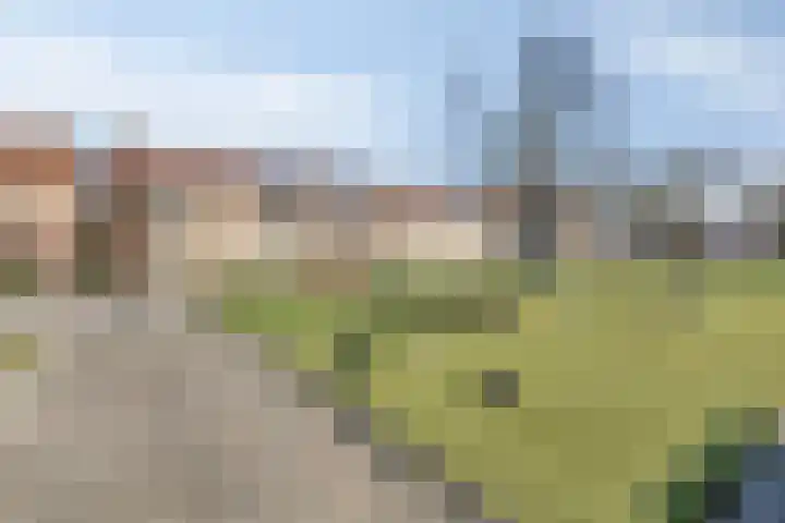 Bowierstraat 14 's-Hertogenbosch thumbnail 35