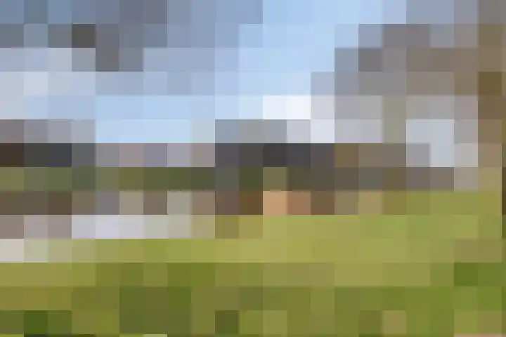 Bowierstraat 14 's-Hertogenbosch thumbnail 36